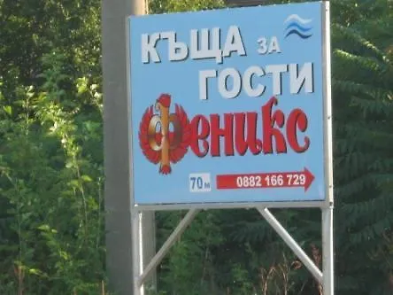 Feniks * Shabla